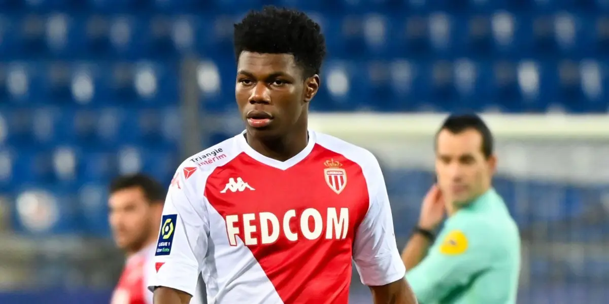 Lions were among the more outstanding teams in Qatar