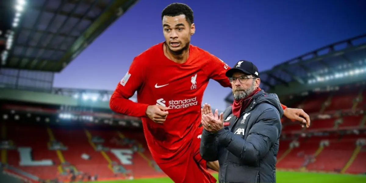 Will Cody Gakpo be the right replacement?